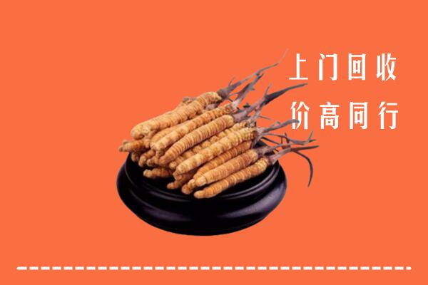 收购行情：淮北市濉溪回收散虫草